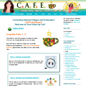 CAFE Dashboard - Adrenal Burnout