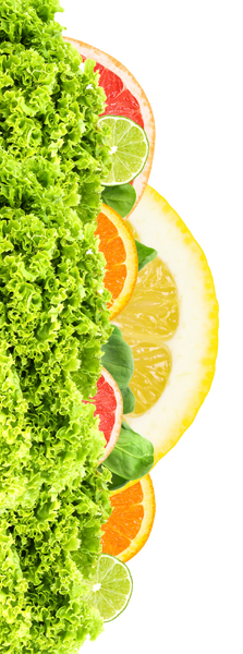 CAFE Adrenal Burnout Recharge - Natural Health