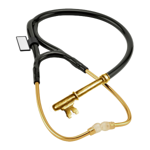 Key Practitioner Strategies for Success