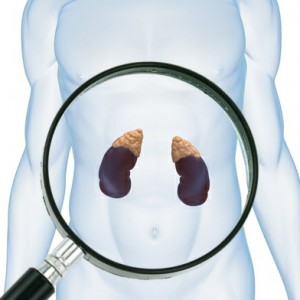 CAFE Part 1 - Adrenal Assessment