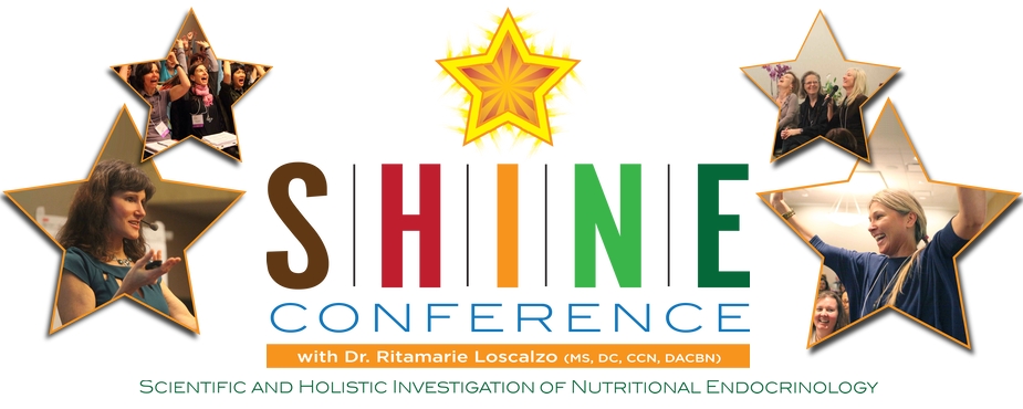 SHINE Conference